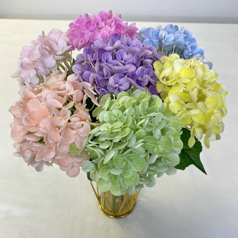 H0021 Hydrangea