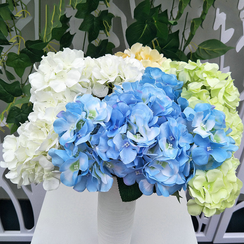 H0031 Hydrangea