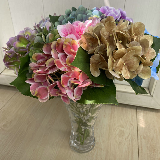 H0048 Hydrangea