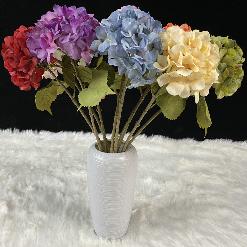 H0047 Hydrangea