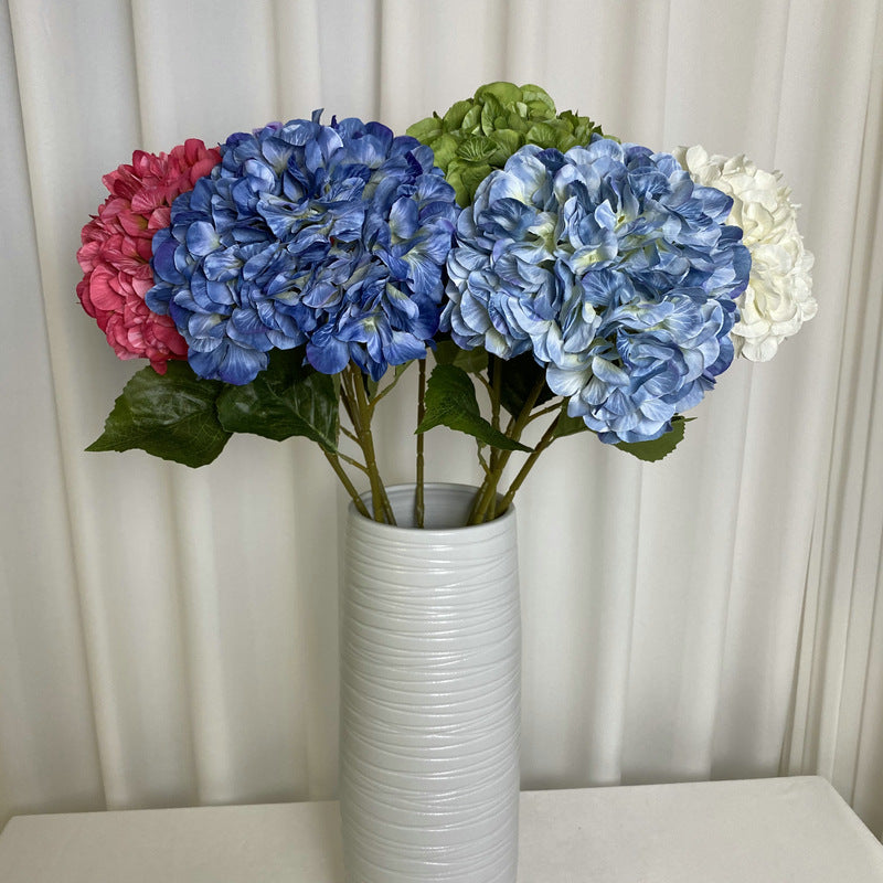 H0016 Hydrangea