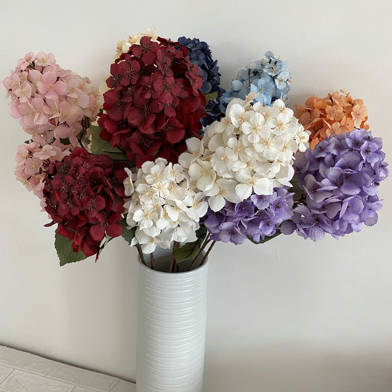 H0030 Hydrangea