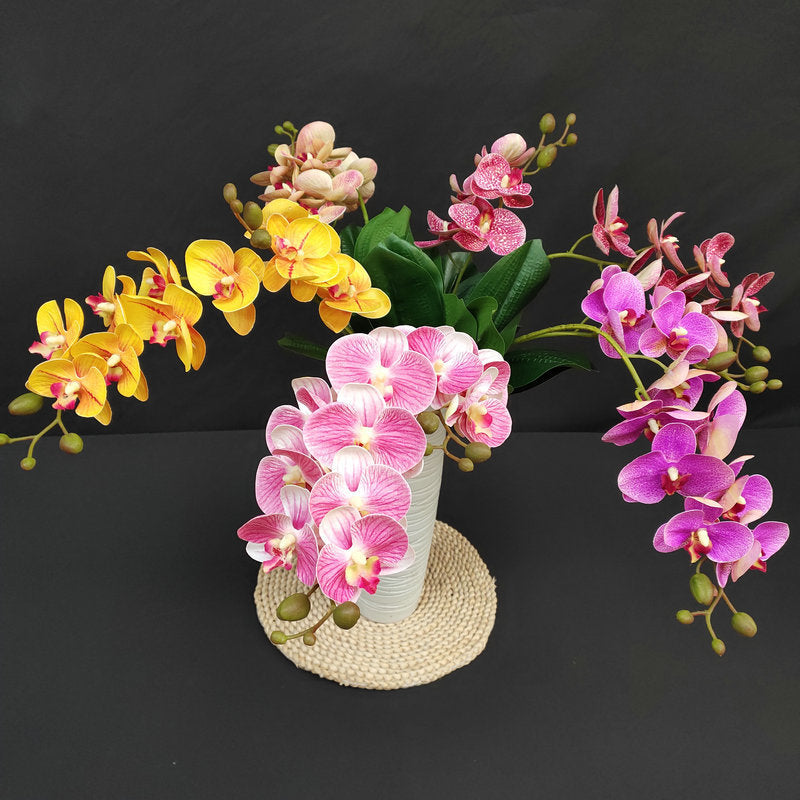 O0016 3D printed double-forked twelve-headed Phalaenopsis with leaves