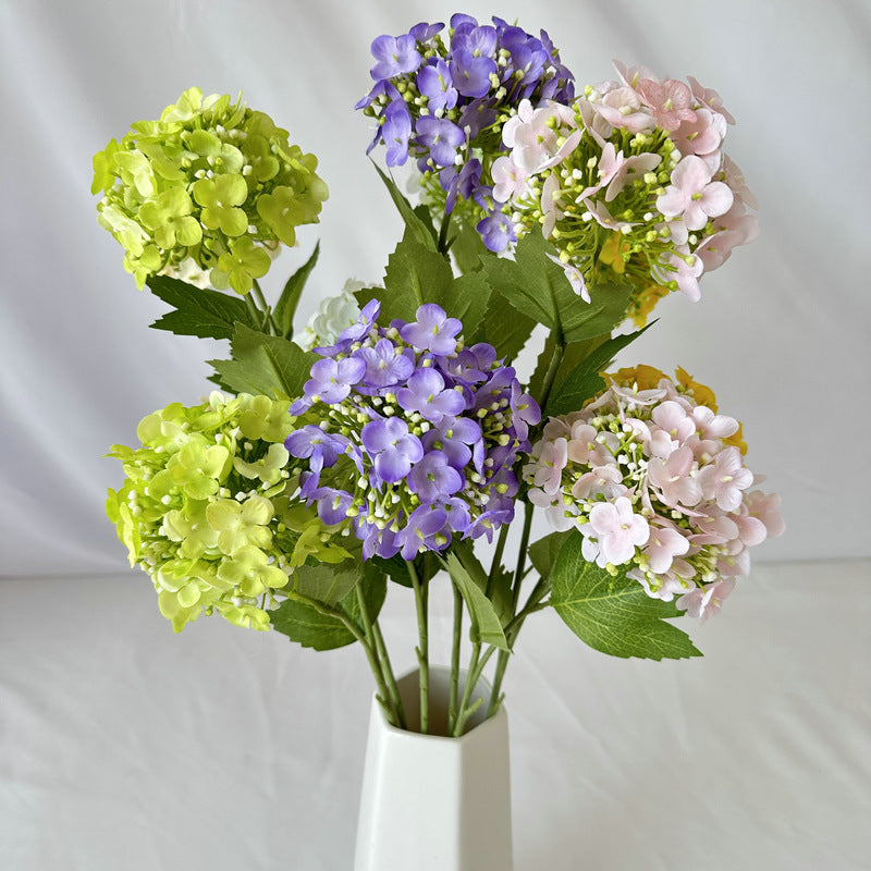 H0017 Hydrangea