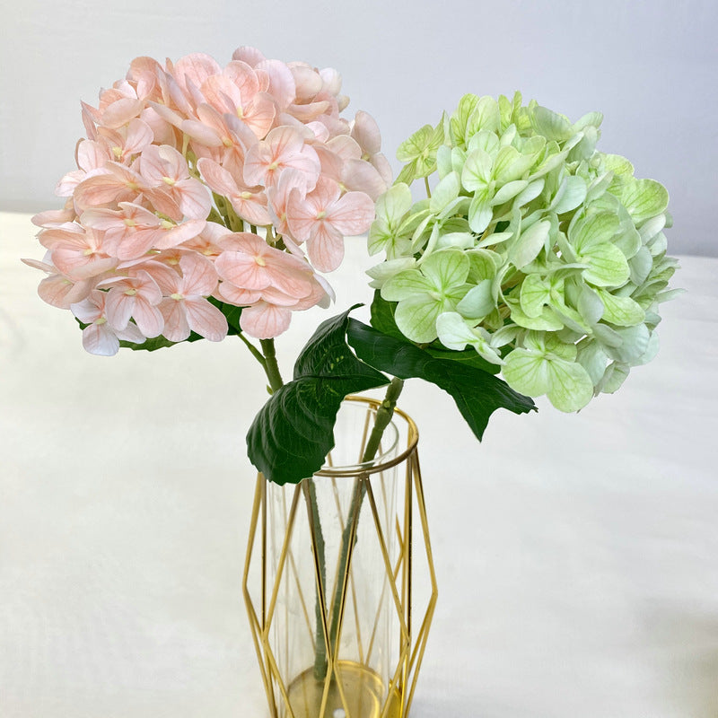 H0021 Hydrangea