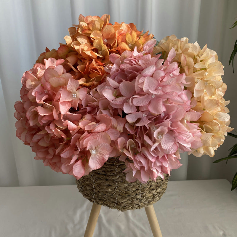 H0022 Hydrangea