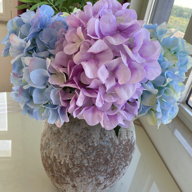 H0010 Hydrangea