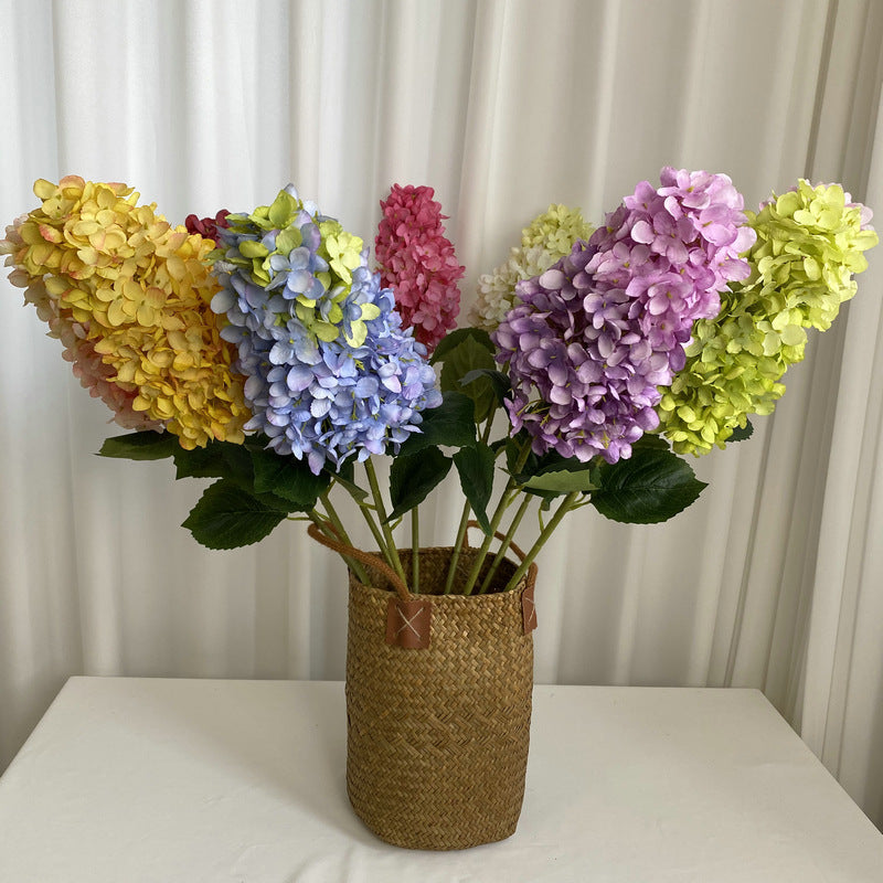 H0009 Hydrangea