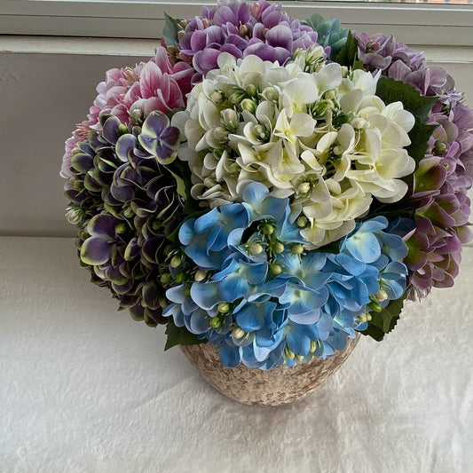 H0044 Hydrangea