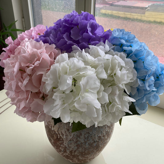 H0024 Hydrangea