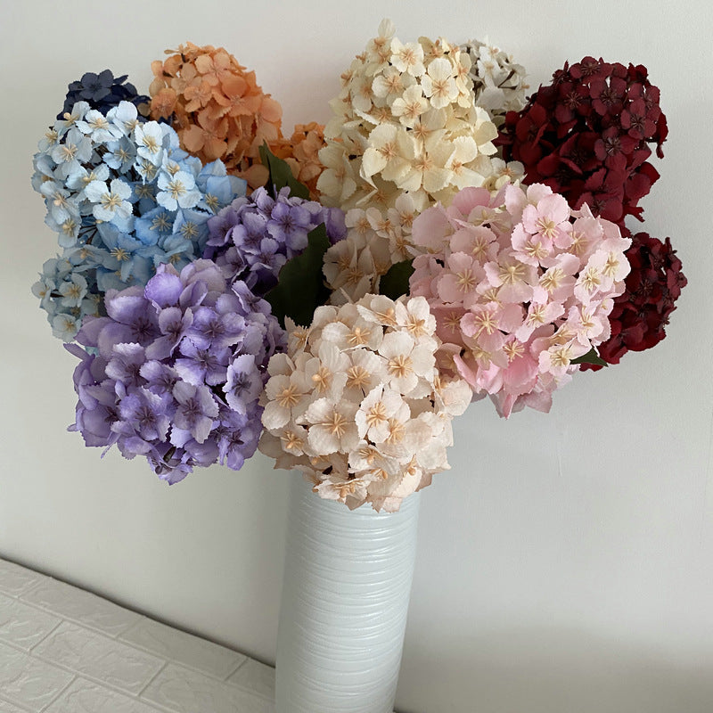 H0030 Hydrangea