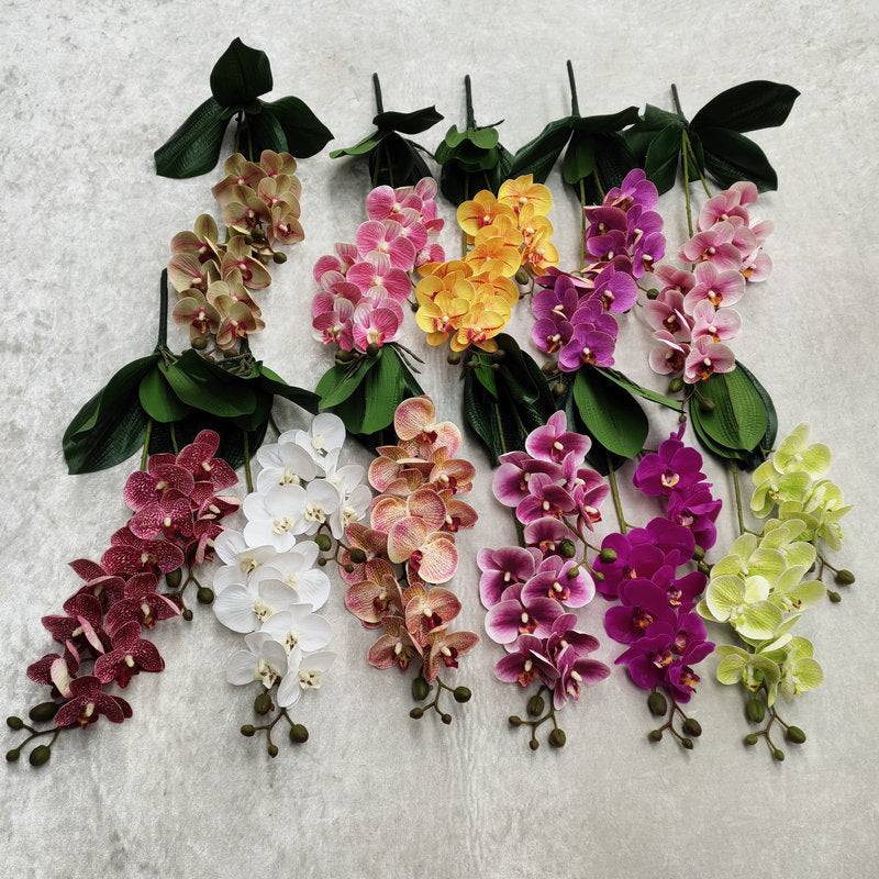 O0016 3D printed double-forked twelve-headed Phalaenopsis with leaves