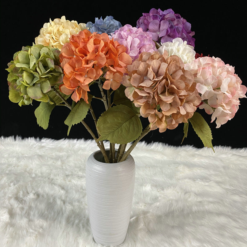 H0047 Hydrangea