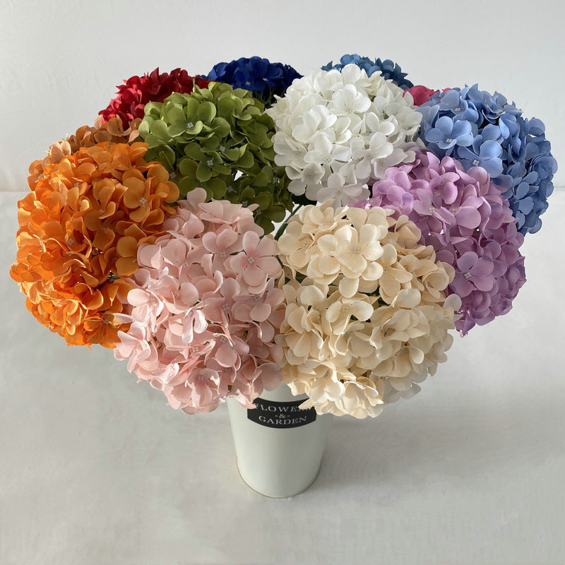 H0001 Hydrangea