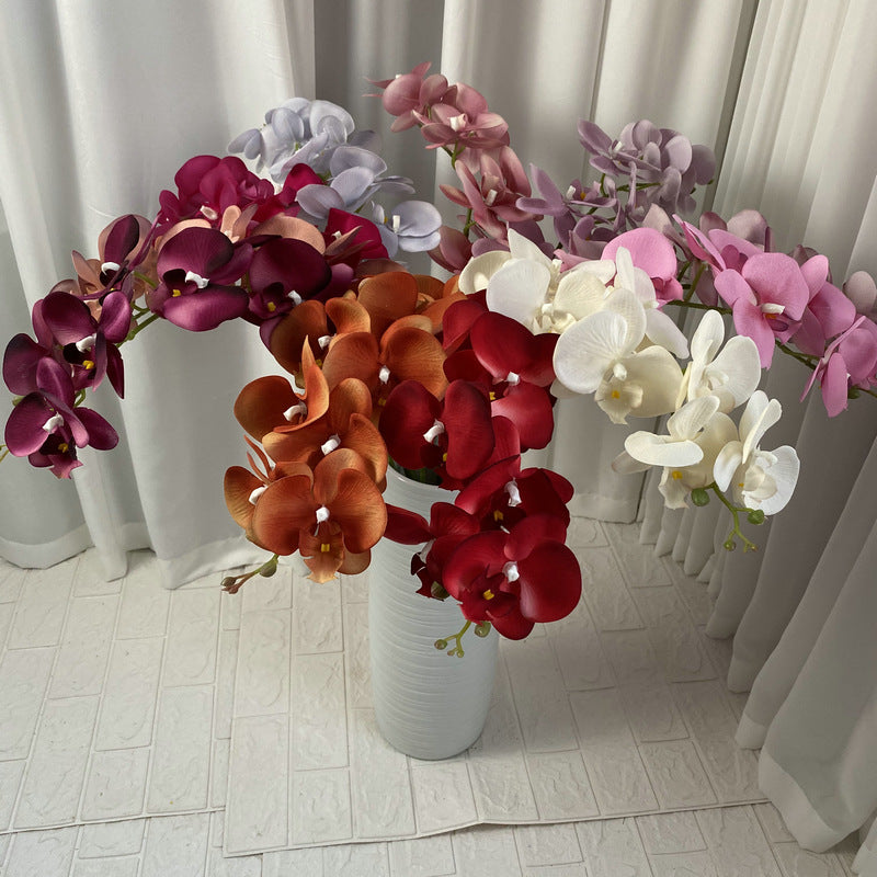 O0002 European Autumn Nine-headed Velvet Phalaenopsis