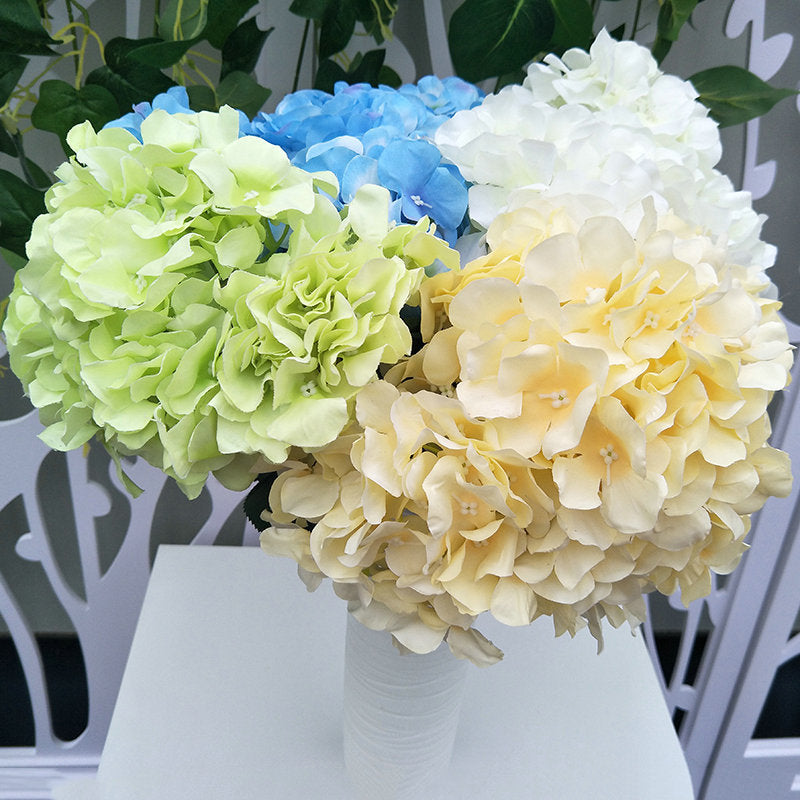 H0031 Hydrangea