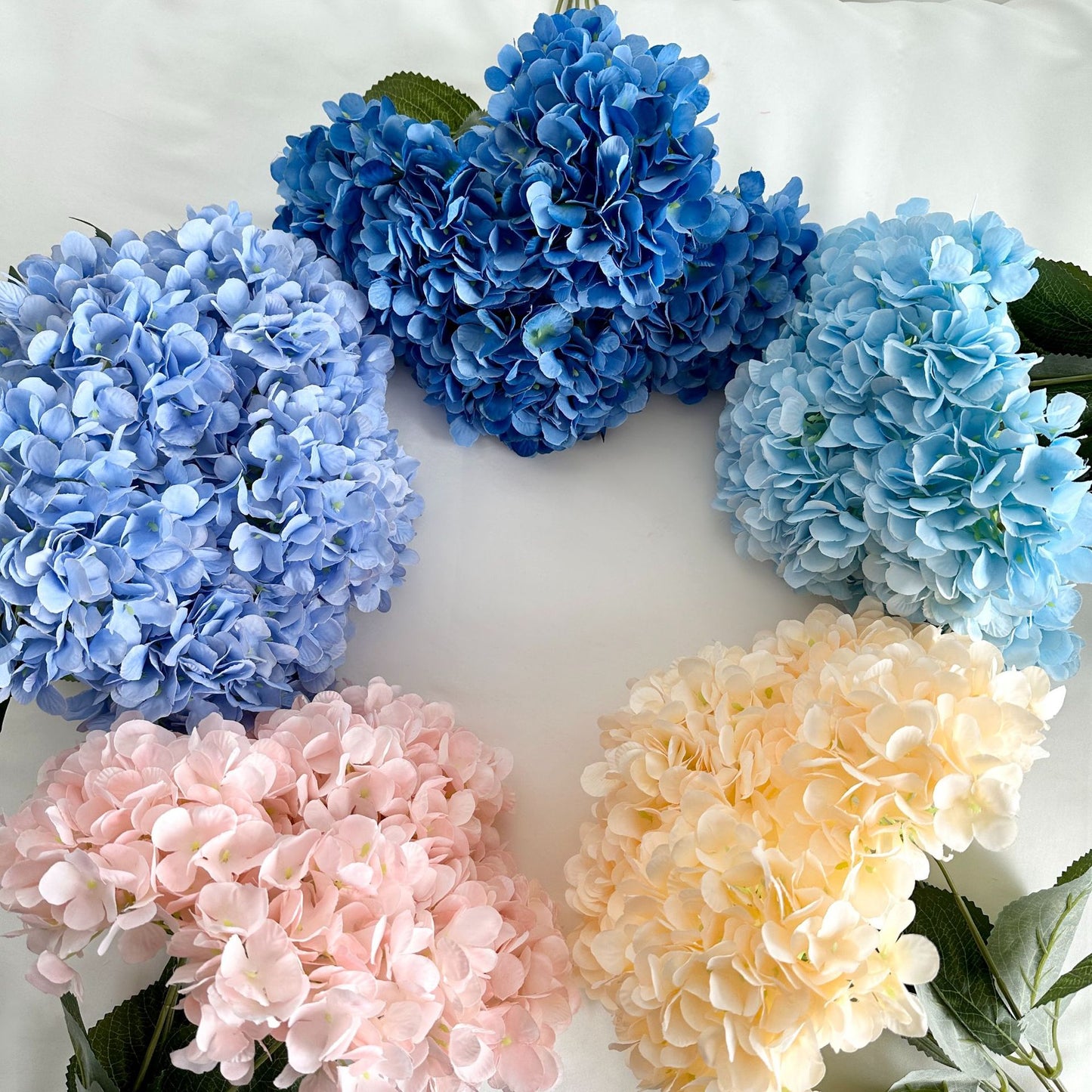 H0035 Hydrangea