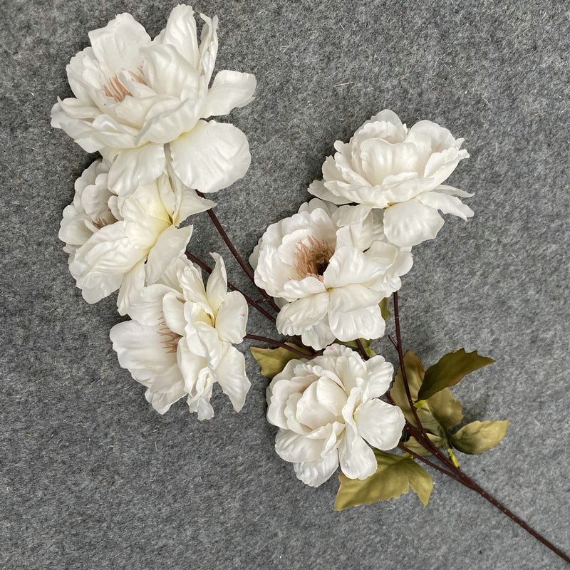 P0022  Six-headed Peony with Hundred Antlers