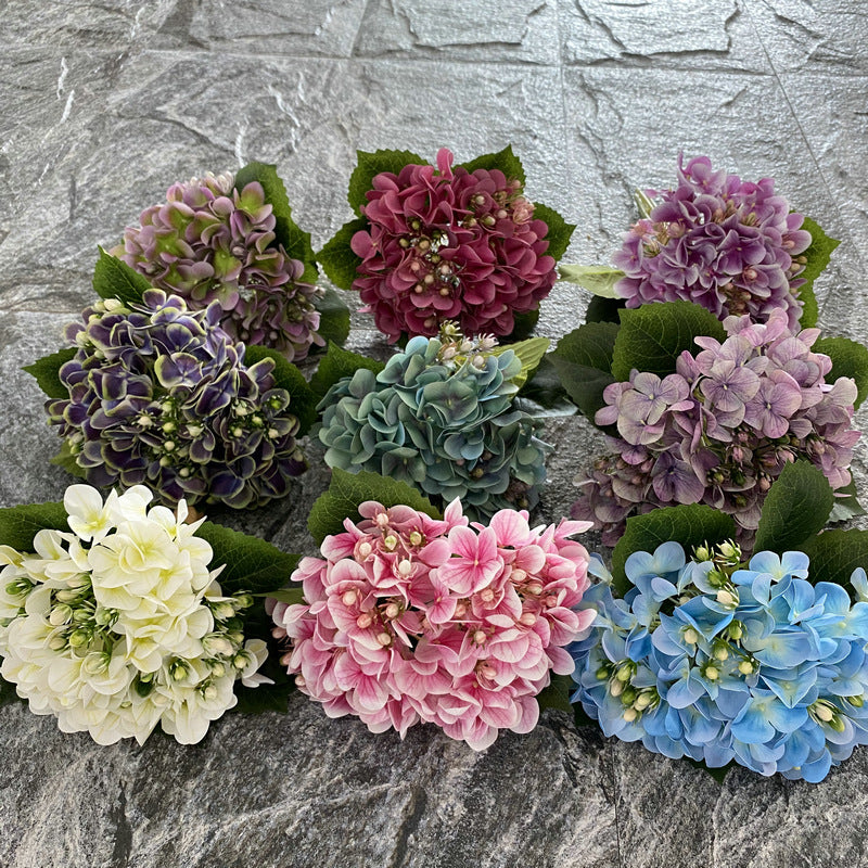 H0044 Hydrangea