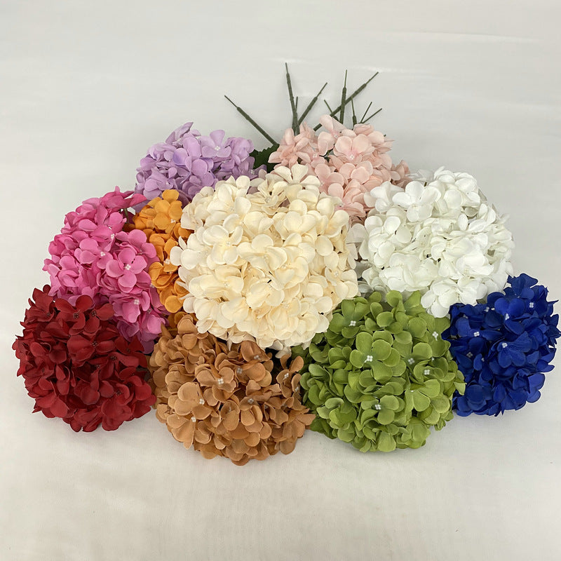 H0001 Hydrangea