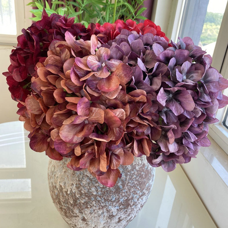 H0010 Hydrangea