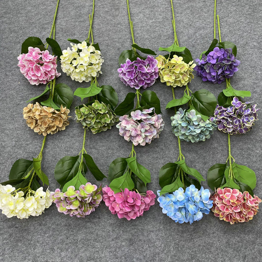 H0037 Hydrangea