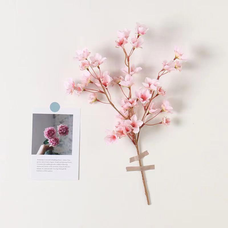 Small peach blossom without leaves