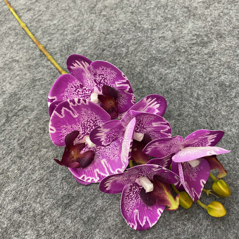 O0004 3D printed 5-head Phalaenopsis