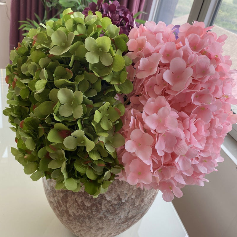 H0006 Hydrangea