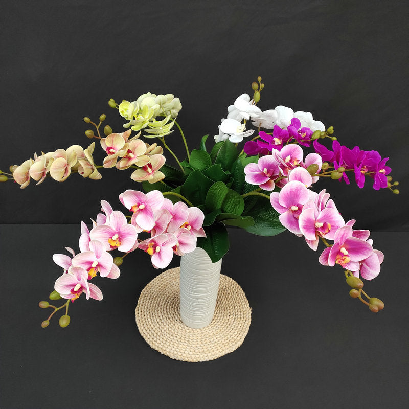 O0016 3D printed double-forked twelve-headed Phalaenopsis with leaves