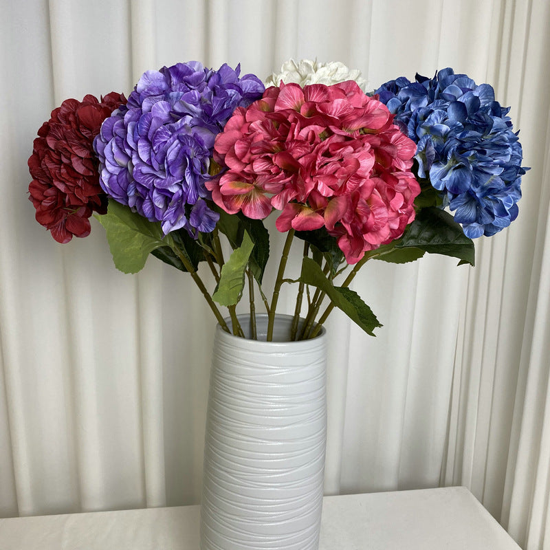 H0016 Hydrangea