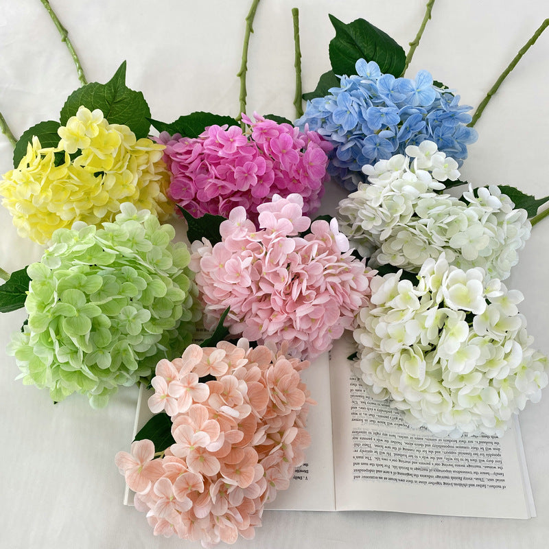 H0003 Hydrangea