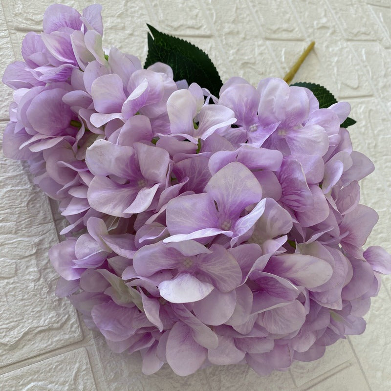 H0010 Hydrangea