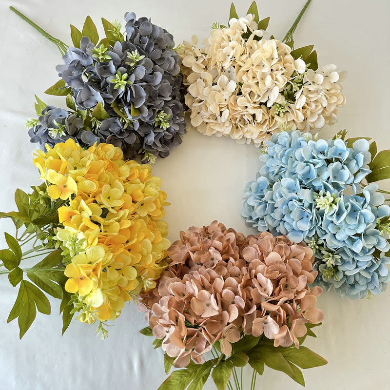 H0004 Hydrangea