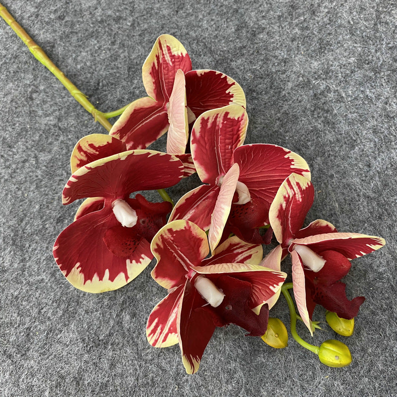 O0004 3D printed 5-head Phalaenopsis