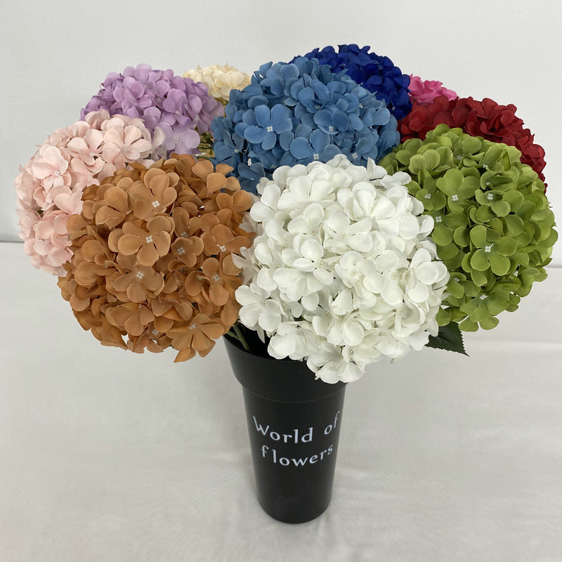 H0001 Hydrangea