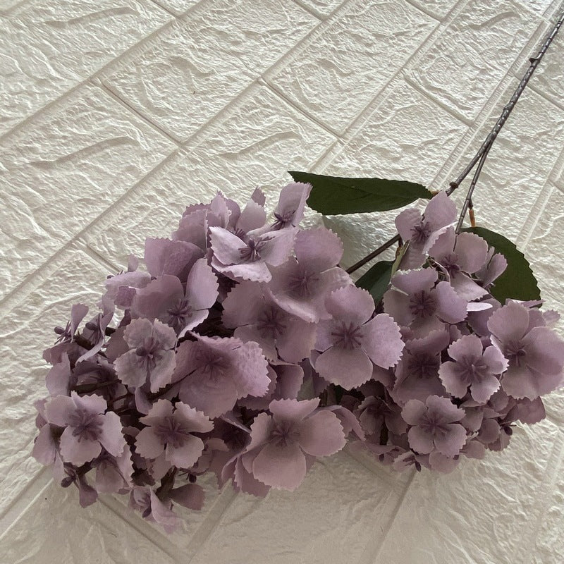 H0008 Hydrangea