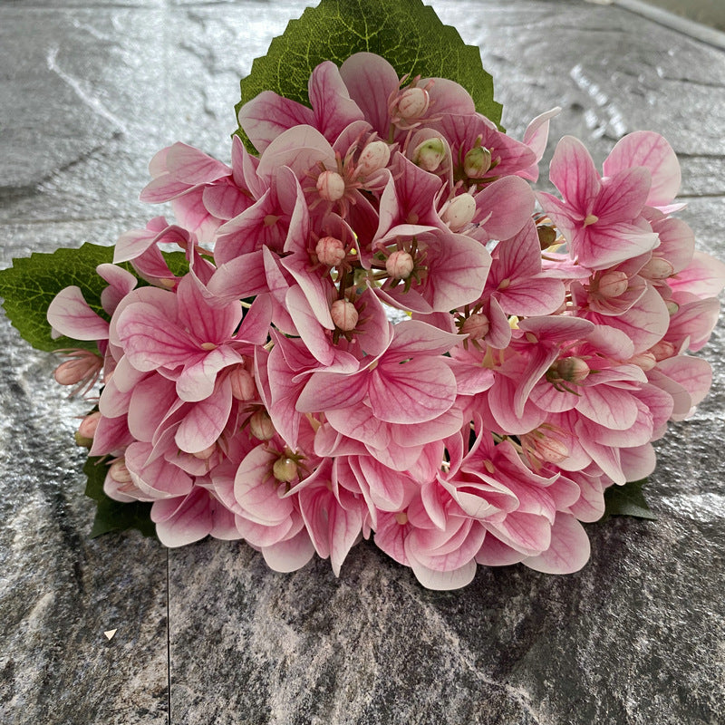 H0044 Hydrangea