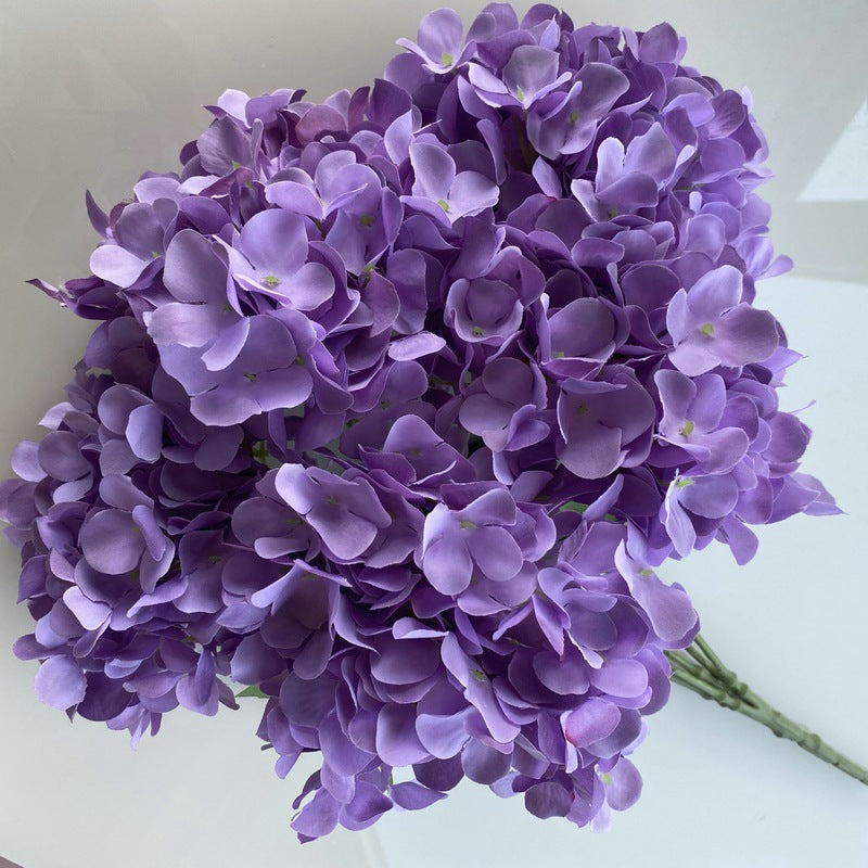 H0006 Hydrangea