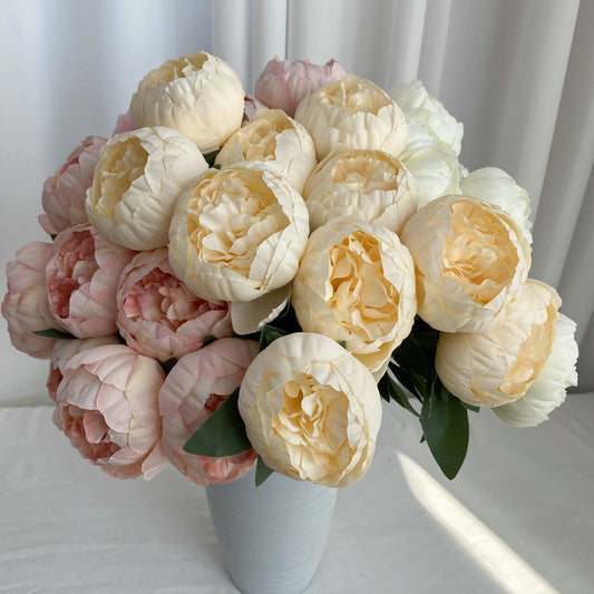 P0025 Ten round peonies