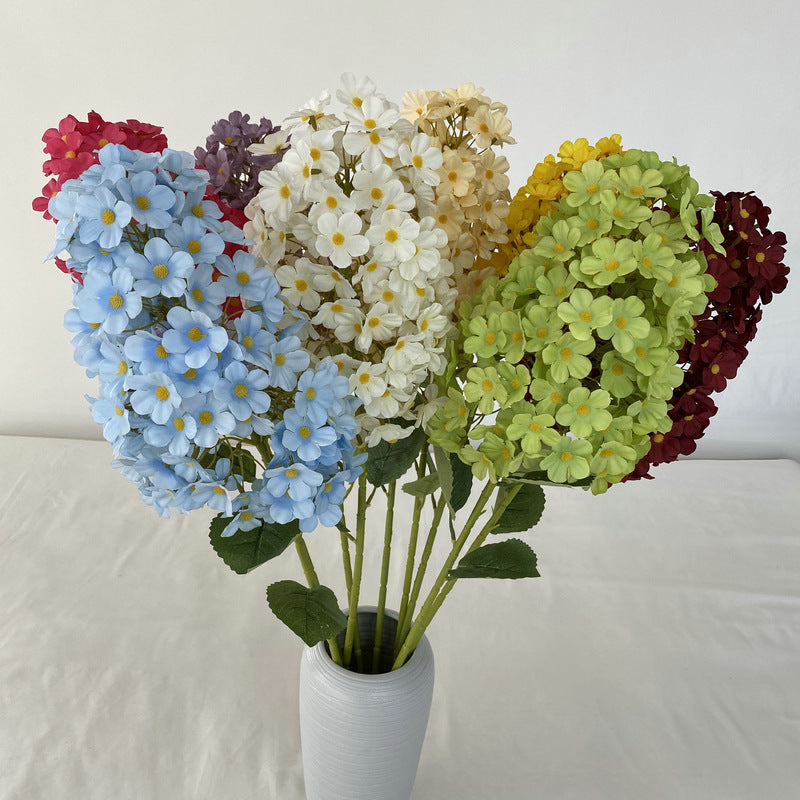 H0041 Hydrangea