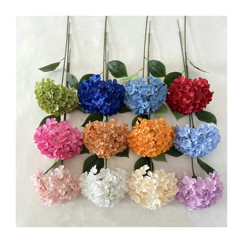 H0001 Hydrangea