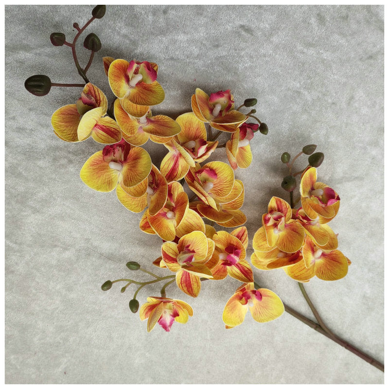 O0015 3D printed twenty-one phalaenopsis