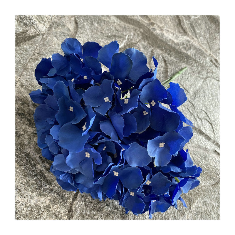 H0002 Hydrangea