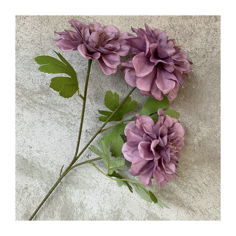 P0019 Three-headed Tianzhu Peony