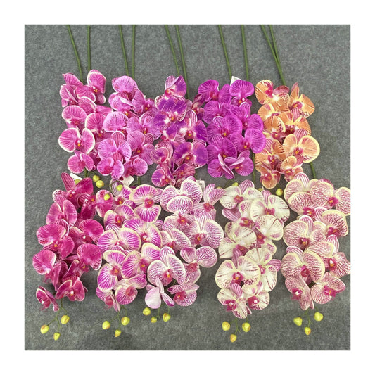 O0017 Single color printed Phalaenopsis