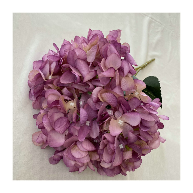 H0022 Hydrangea