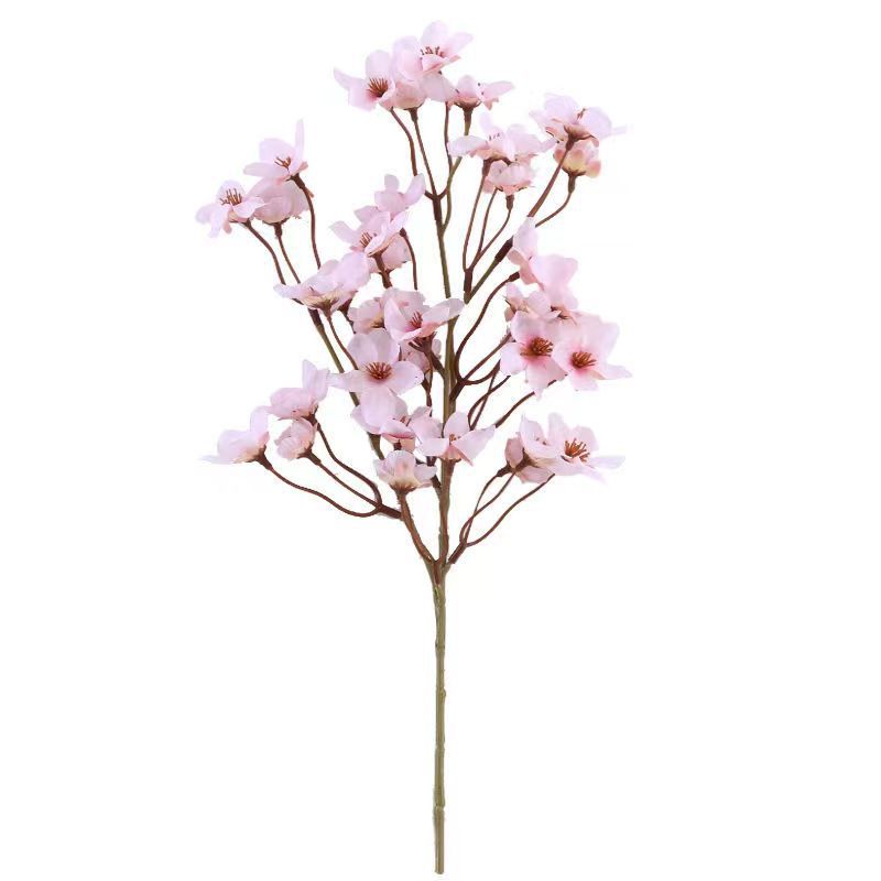 Small peach blossom without leaves