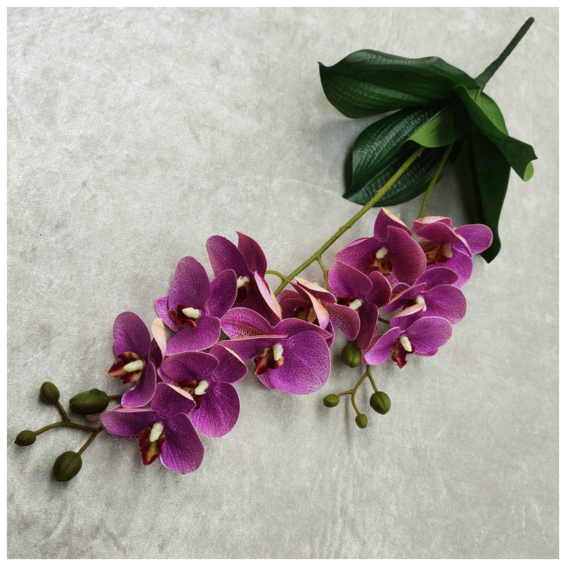 O0016 3D printed double-forked twelve-headed Phalaenopsis with leaves