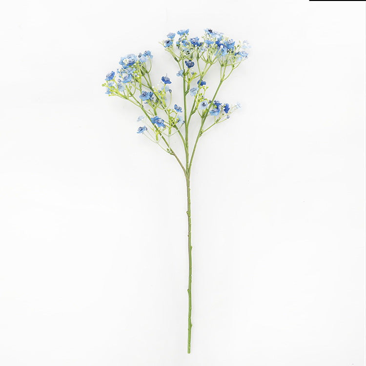 babysbreath011